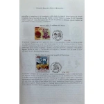 IL PRONTUARIO DEI SERVIZI POSTALI PREPAGATI 2000-2013 - immagine 4