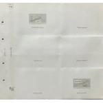 Confezione 9 fogli a 6 tasche LIEBIG serie dalla 1780 alla 1788 - immagine 3