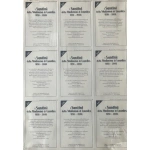 I SANTINI DELLA MADONNA DI LOURDES 1858-2008 - immagine 3