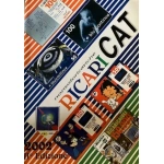 RICARICAT 2002