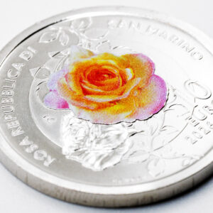 Rosa San Marino dettaglio